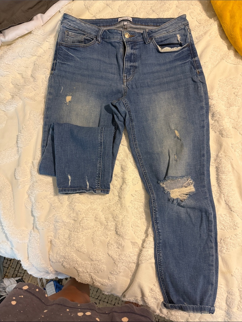 Studio Blue Women's Straight Leg Jeans in Light Blue